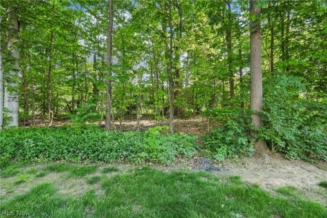 36362 N Reserve Circle Avon OH 44011