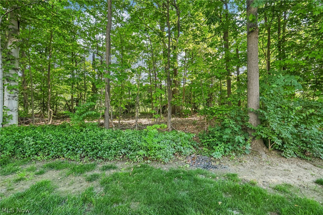 36362 N Reserve Circle Avon OH 44011