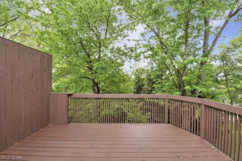 6813 Chaffee Court Brecksville OH 44141