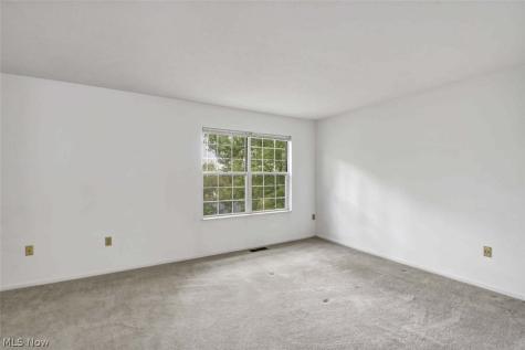 6813 Chaffee Court Brecksville OH 44141