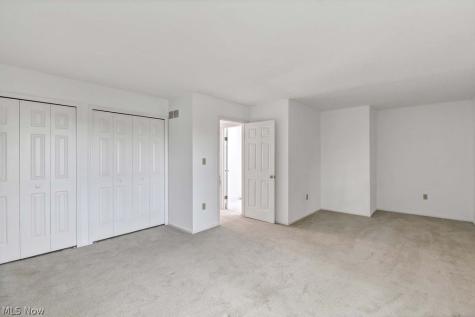 6813 Chaffee Court Brecksville OH 44141