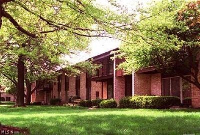 16475 Heather Lane Middleburg Heights OH 44130