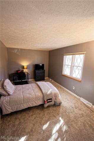 4213 Dennis Lane Brunswick OH 44212