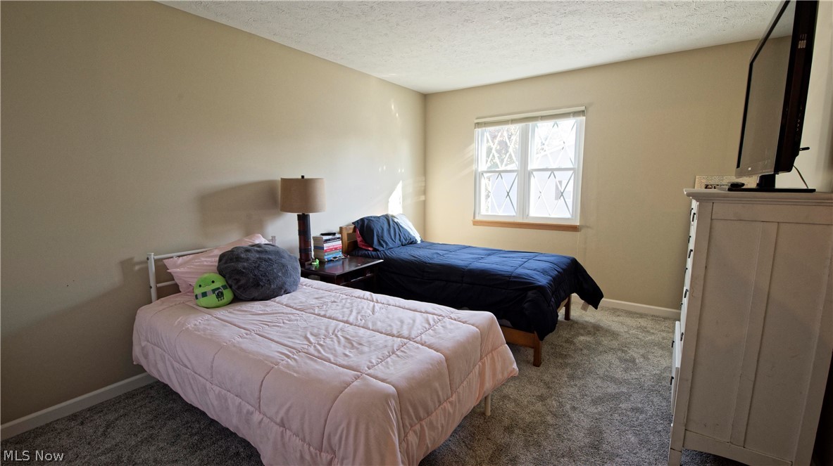 4213 Dennis Lane Brunswick OH 44212