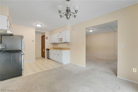 35007 S Turtle Trail Willoughby OH 44094