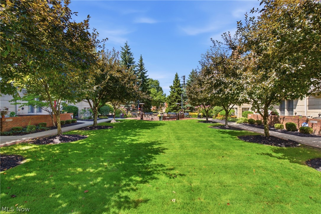 19942 Chagrin Boulevard Shaker Heights OH 44122