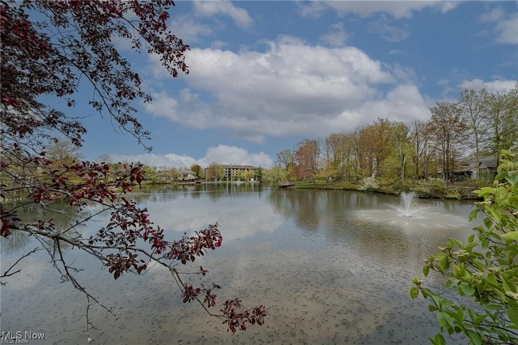 10 Kenwood Court Beachwood OH 44122