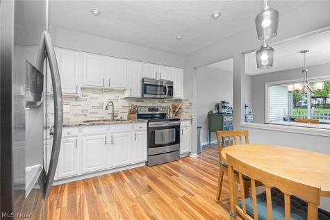 6604 Hidden Lake Trail Brecksville OH 44141