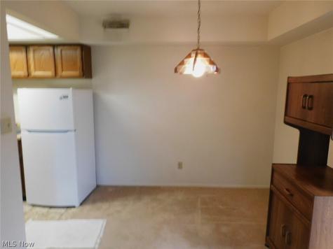 8027 Independence Drive Mentor OH 44060