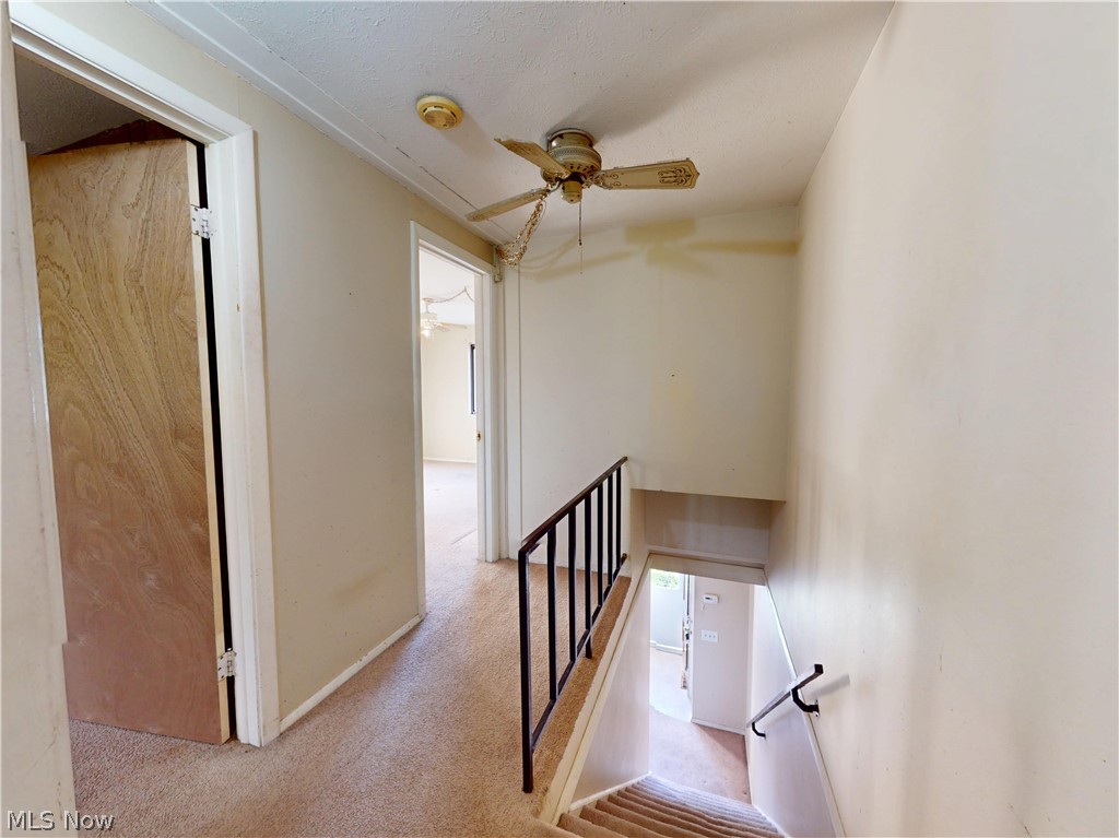 1651 Mentor Avenue Painesville OH 44077