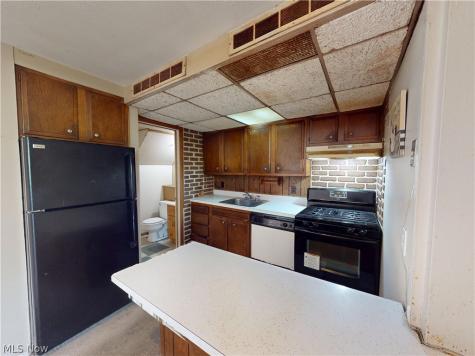1651 Mentor Avenue Painesville OH 44077