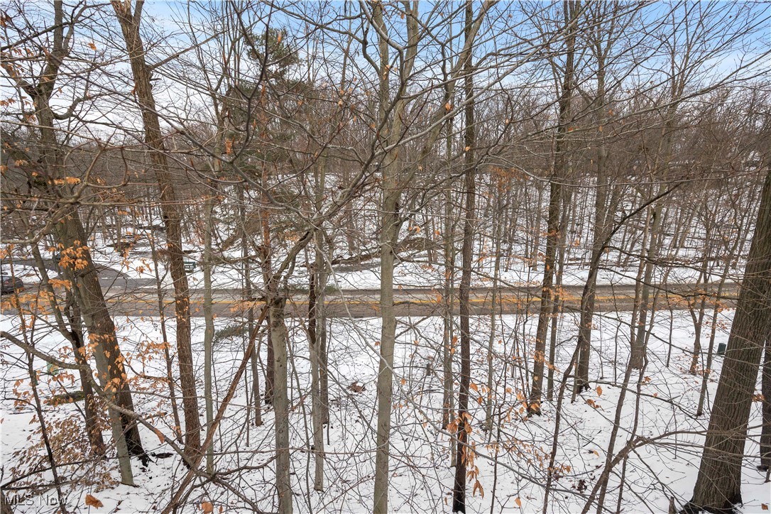 17933 Cliffside Drive Strongsville OH 44136