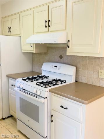 157 Drury Lane Mayfield Heights OH 44124