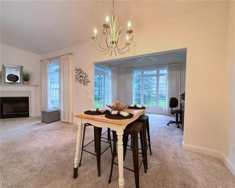 370 Rosebury Court Mayfield Heights OH 44124