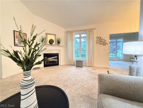 370 Rosebury Court Mayfield Heights OH 44124