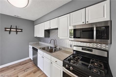 7373 Forsythia Lane Northfield OH 44067