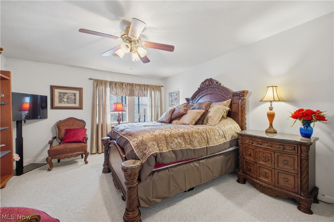 424 N Bayshore Drive Columbiana OH 44408