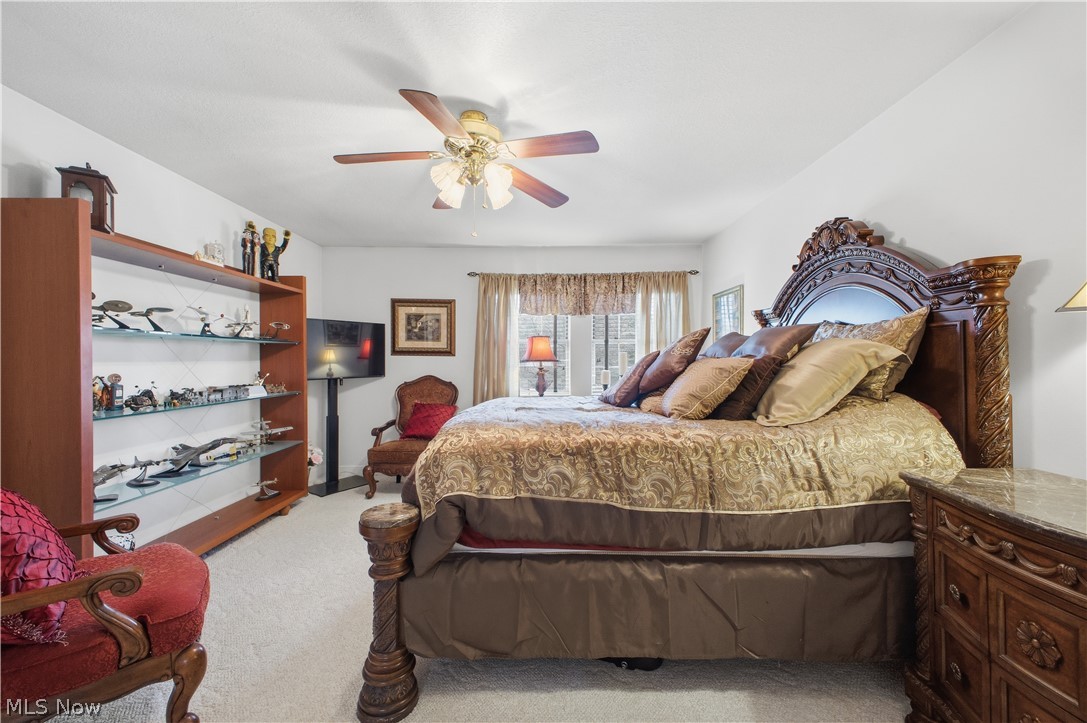 424 N Bayshore Drive Columbiana OH 44408