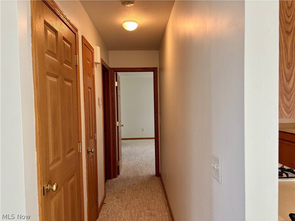 1437 Shaw Avenue Niles OH 44446