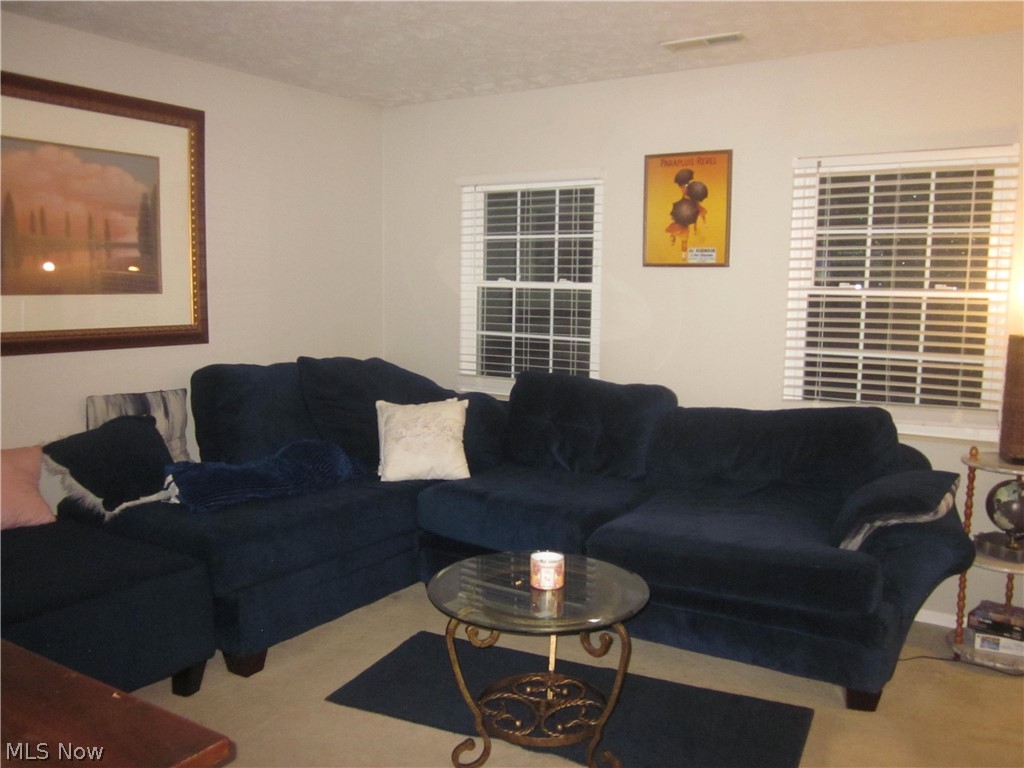 7181 Lexington Court Northfield OH 44067