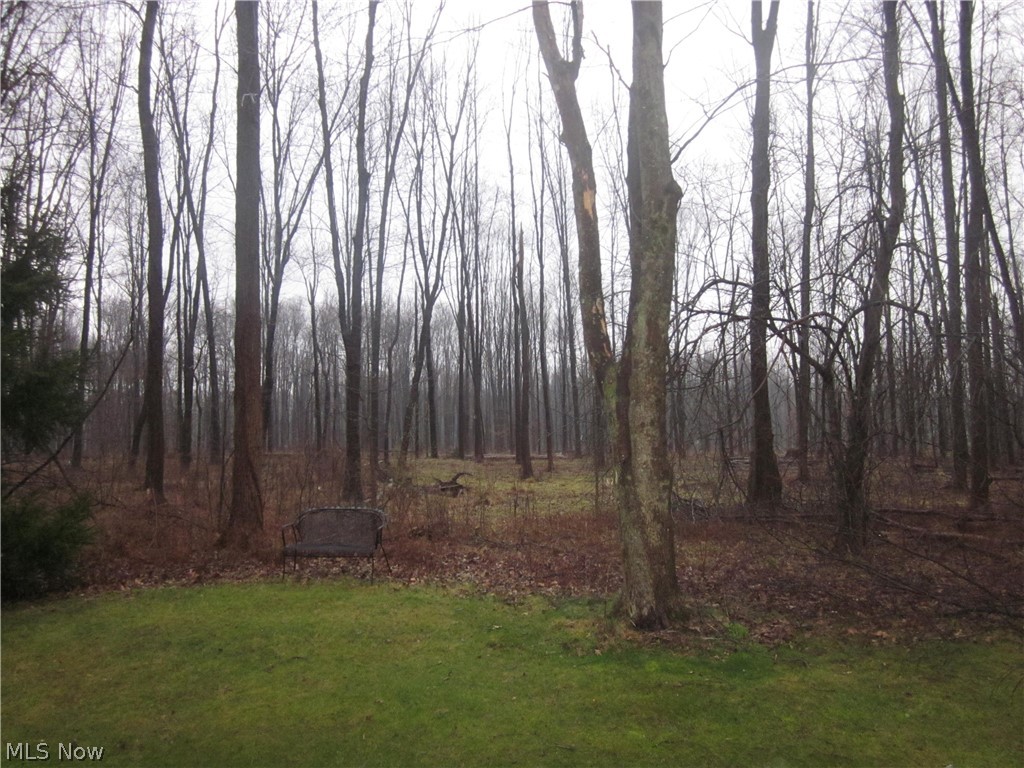 7181 Lexington Court Northfield OH 44067