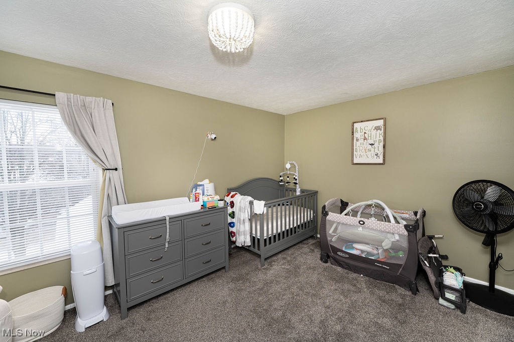 1187 Brookline Place Willoughby OH 44094