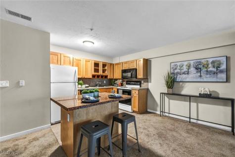 2222 Detroit Road Cleveland OH 44113