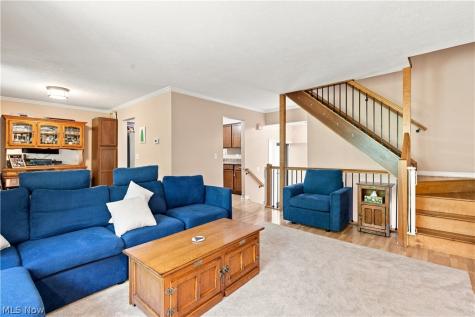 9805 Country Scene Lane Mentor OH 44060