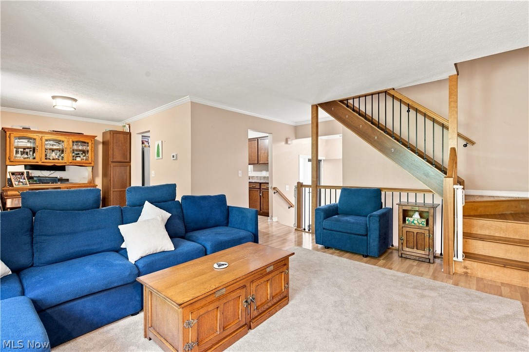 9805 Country Scene Lane Mentor OH 44060
