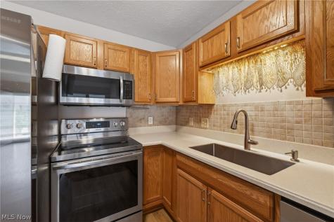 764 N Creek Drive Painesville OH 44077