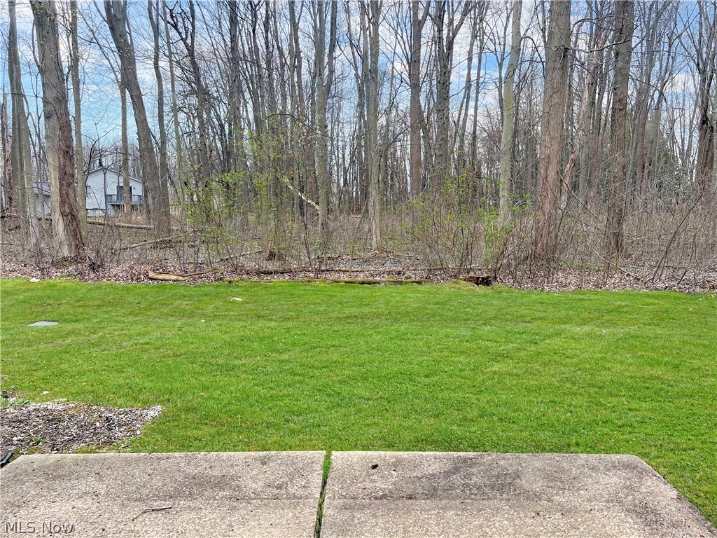 8352 Quail Point Lane Mentor OH 44060