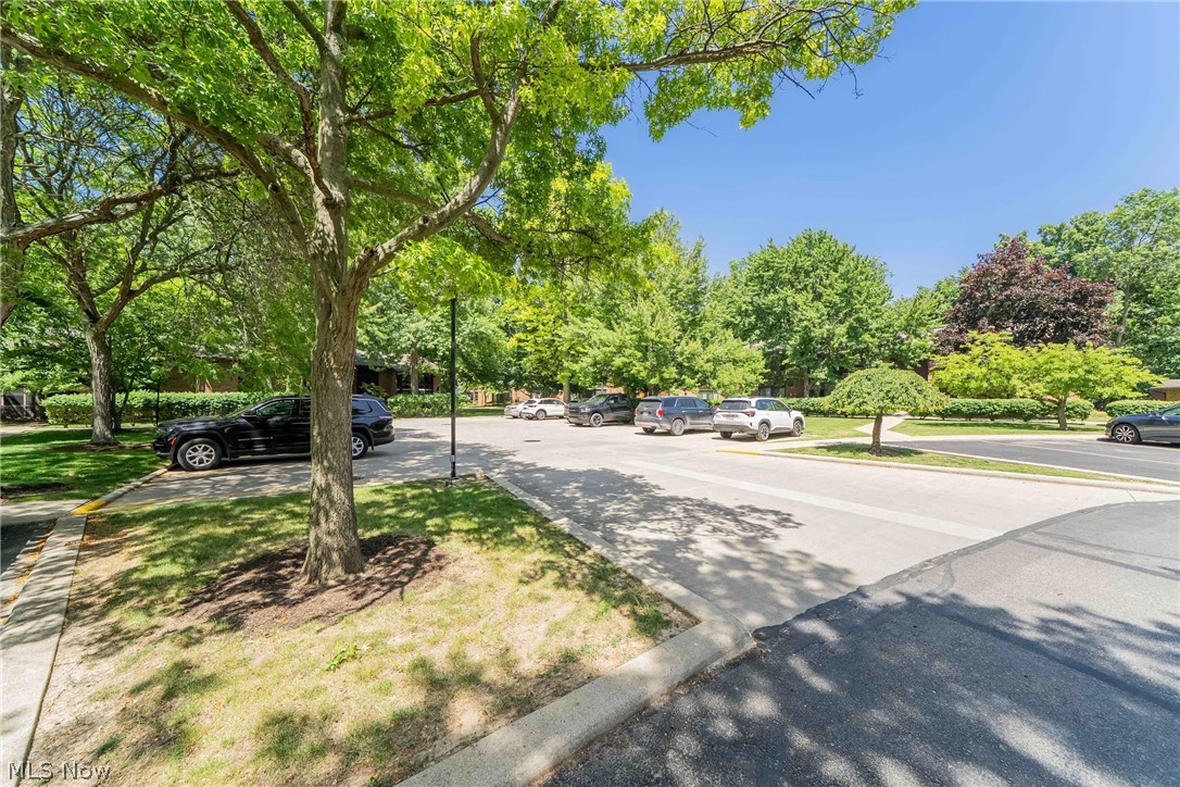 22958 Maple Ridge Road North Olmsted OH 44070