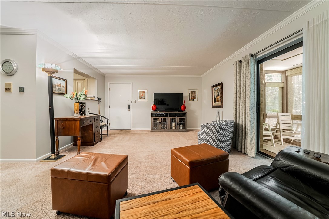 22958 Maple Ridge Road North Olmsted OH 44070