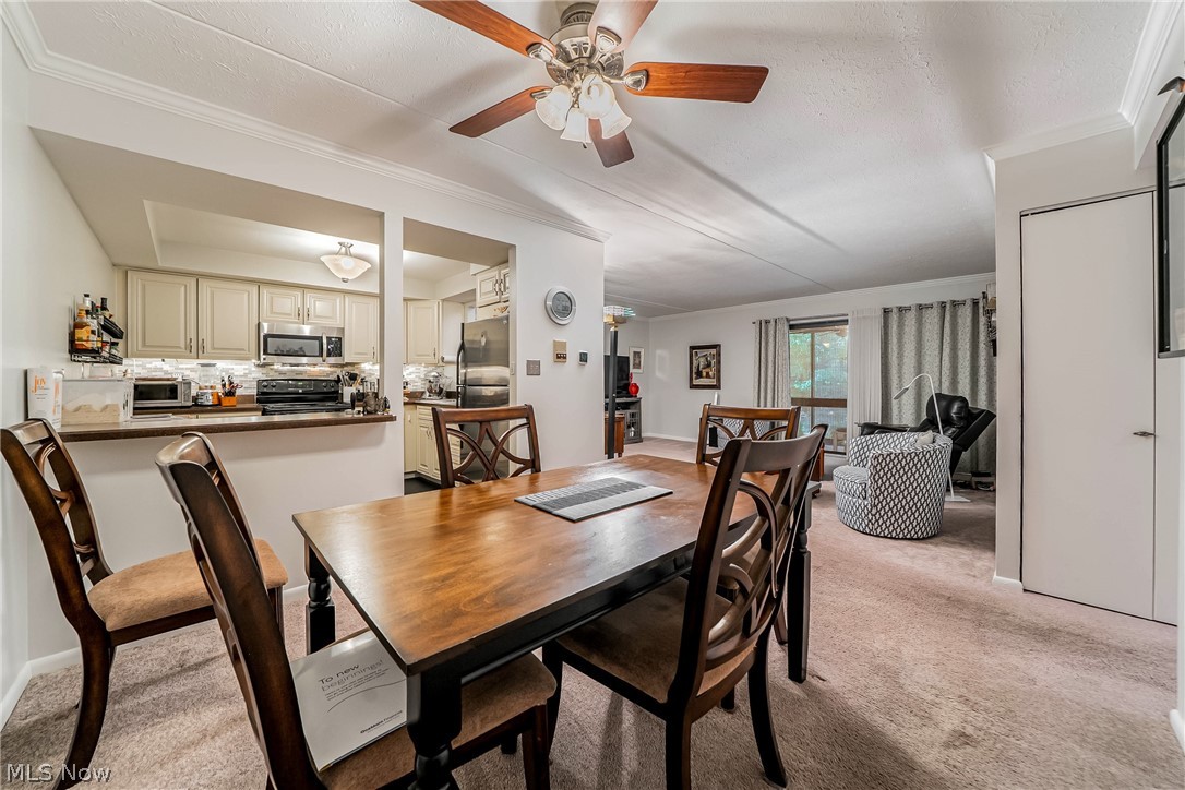 22958 Maple Ridge Road North Olmsted OH 44070