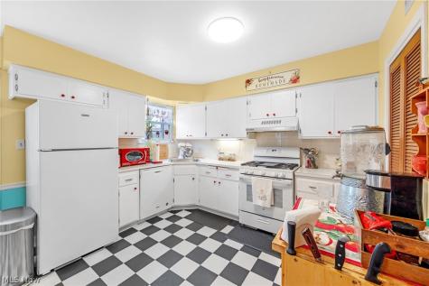 2719 Pease Drive Rocky River OH 44116