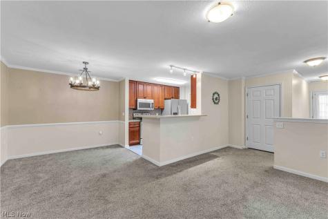 3367 Lenox Village Drive Fairlawn OH 44333
