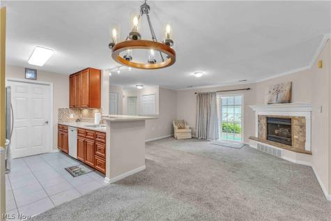 3367 Lenox Village Drive Fairlawn OH 44333