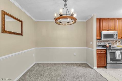 3367 Lenox Village Drive Fairlawn OH 44333