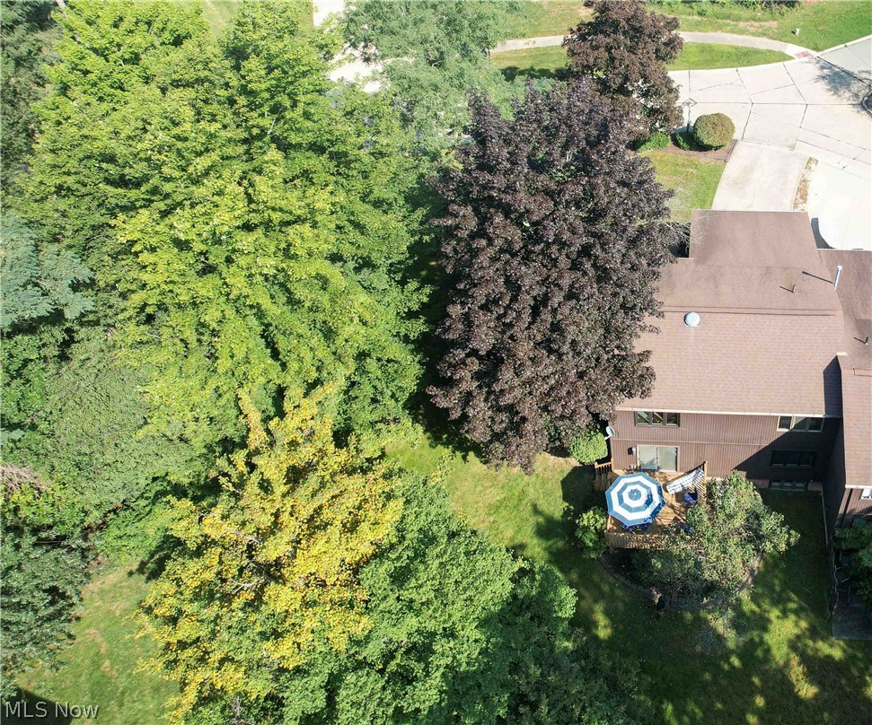 8348 Villa Marina Court Mentor OH 44060