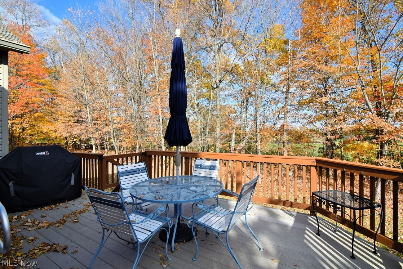 528 Covington Lane Chagrin Falls OH 44023