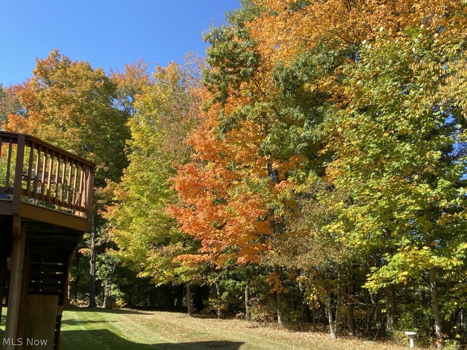 528 Covington Lane Chagrin Falls OH 44023