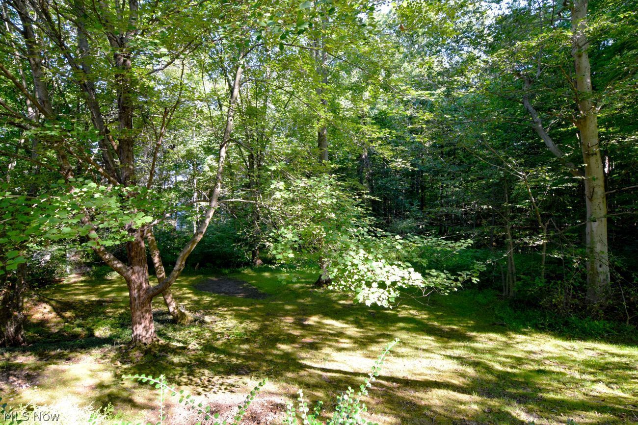 10450 White Ash Trail Twinsburg OH 44087