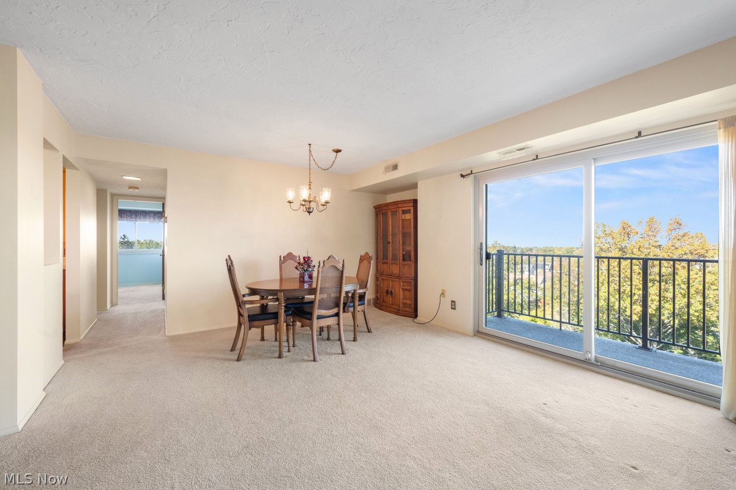 15555 Hilliard Road Lakewood OH 44107