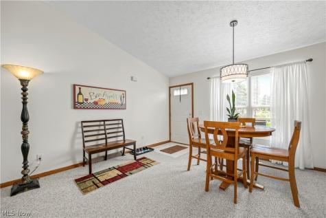 519 Heather Woods Drive Elyria OH 44035