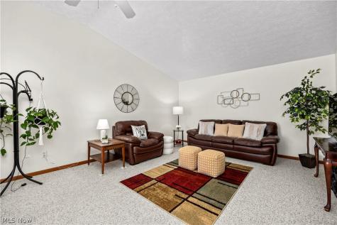 519 Heather Woods Drive Elyria OH 44035