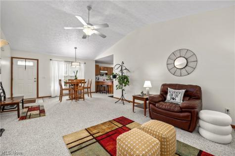 519 Heather Woods Drive Elyria OH 44035