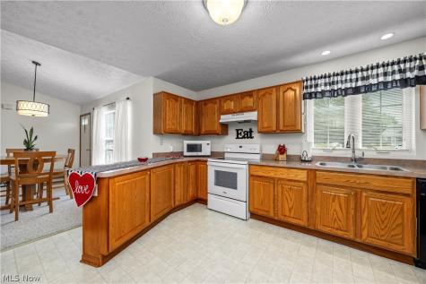 519 Heather Woods Drive Elyria OH 44035