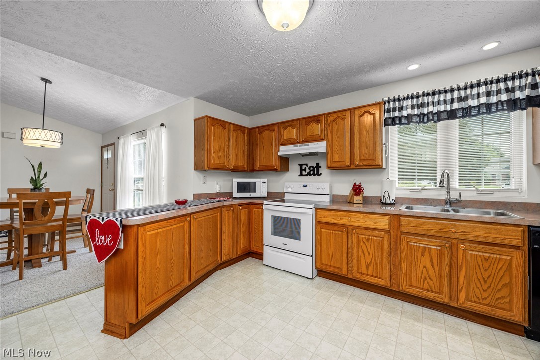 519 Heather Woods Drive Elyria OH 44035