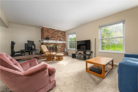 7005 Carriage Hill Drive Brecksville OH 44141