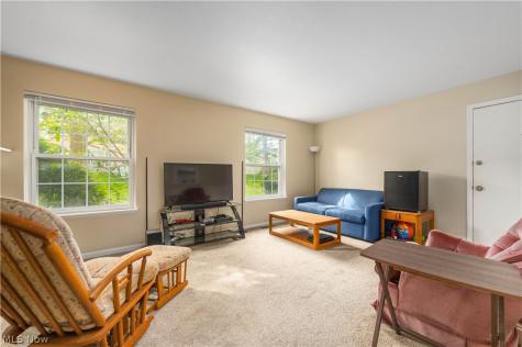 7005 Carriage Hill Drive Brecksville OH 44141